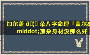 加尔盖 🦊 朵八字命理「盖尔·加朵身材没那么好」